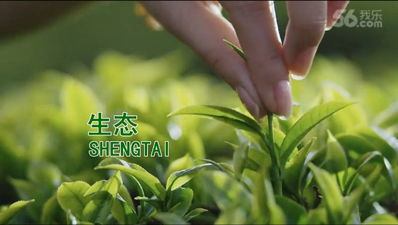 衪Դɽ{ȴ