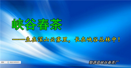 Դ衪Դ{ȴҕl