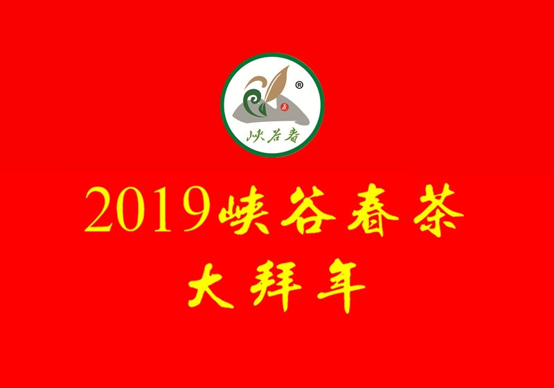 2019{ȴFҕl