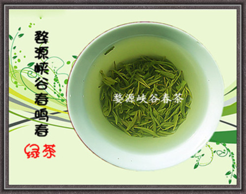飲茶與健康 飲茶與健康