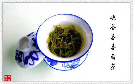 ҹT˼ڵƷ{ȴ