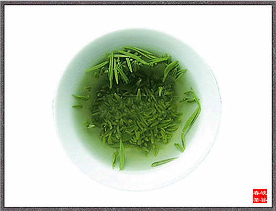 婺源峽谷春霧眉茶