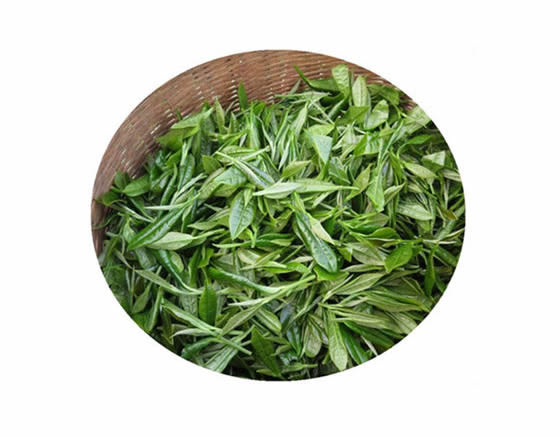 婺源峽谷春醉香茶