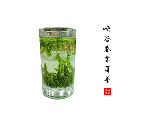 喝茶的境界分十八個等級層次