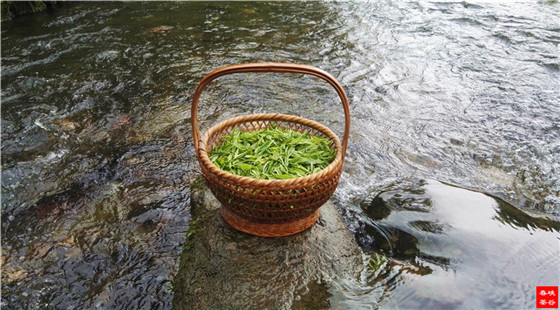 {ȴ`ڲ