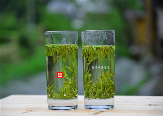 江西婺源:茶農(nóng)網(wǎng)上“賣茶”俏銷