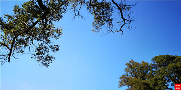 《長淮詩典》情滿“峽谷春”婺源金秋詩會