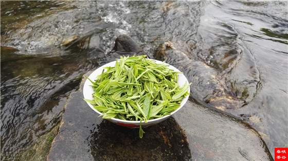 喝一回好茶 絕對讓你回味一生