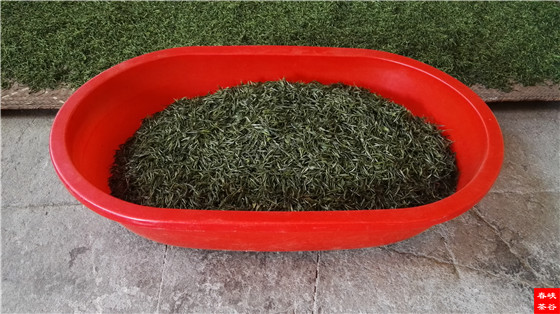 喝一回好茶 絕對讓你回味一生
