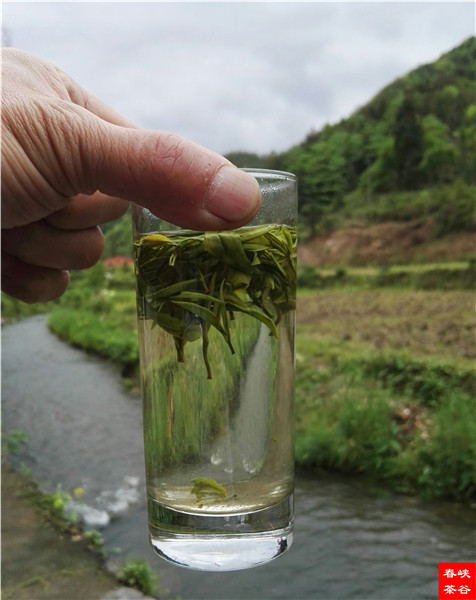 喝一回好茶 絕對讓你回味一生