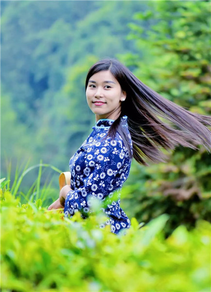 婺源鄉(xiāng)間有茶香