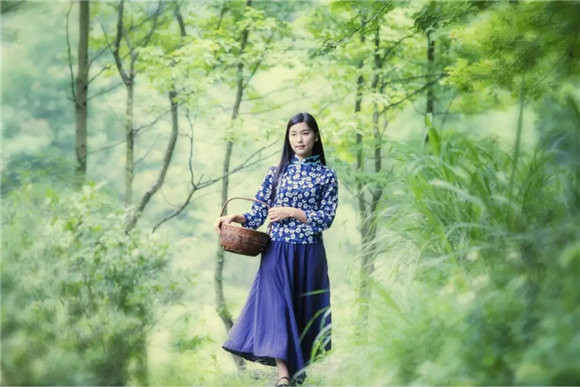 婺源鄉(xiāng)間有茶香