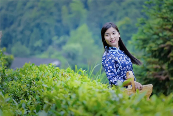 婺源鄉(xiāng)間有茶香