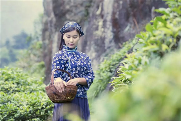 婺源鄉(xiāng)間有茶香