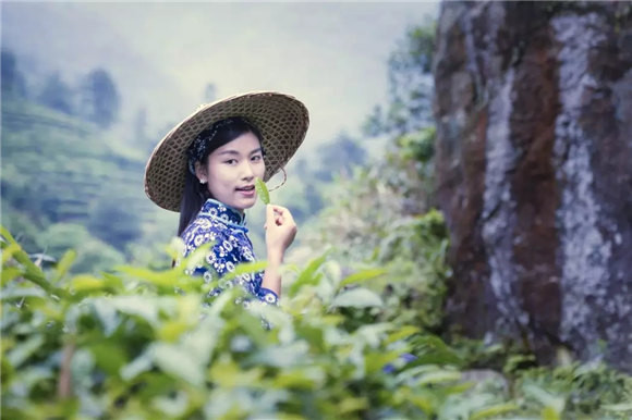 婺源鄉(xiāng)間有茶香