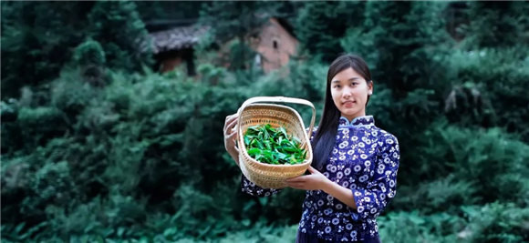 婺源鄉(xiāng)間有茶香