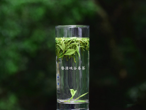 茶與藥的關(guān)系