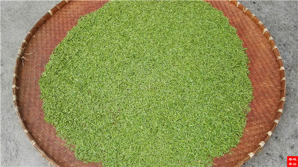 好茶的品質(zhì)共性標(biāo)準(zhǔn)釋義