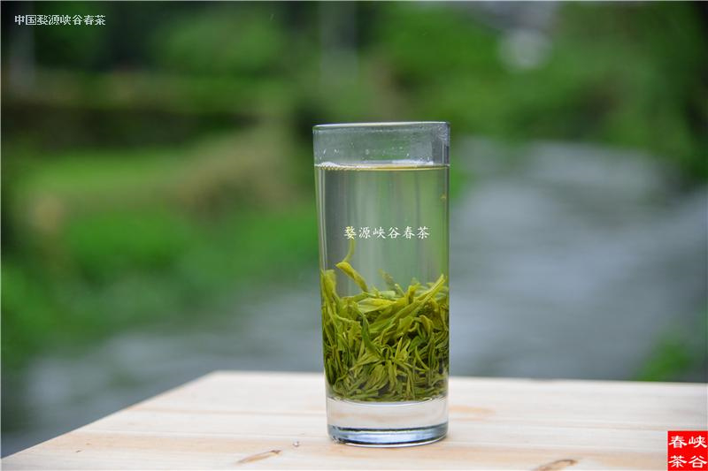 喝茶 可補充你日能量中所需的維生素