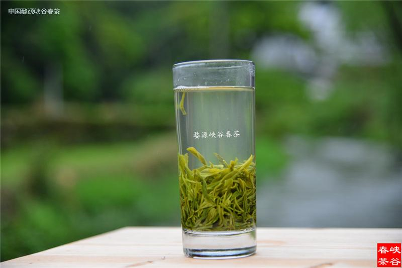茶葉是人們?nèi)粘I钪兄B(yǎng)生之寶