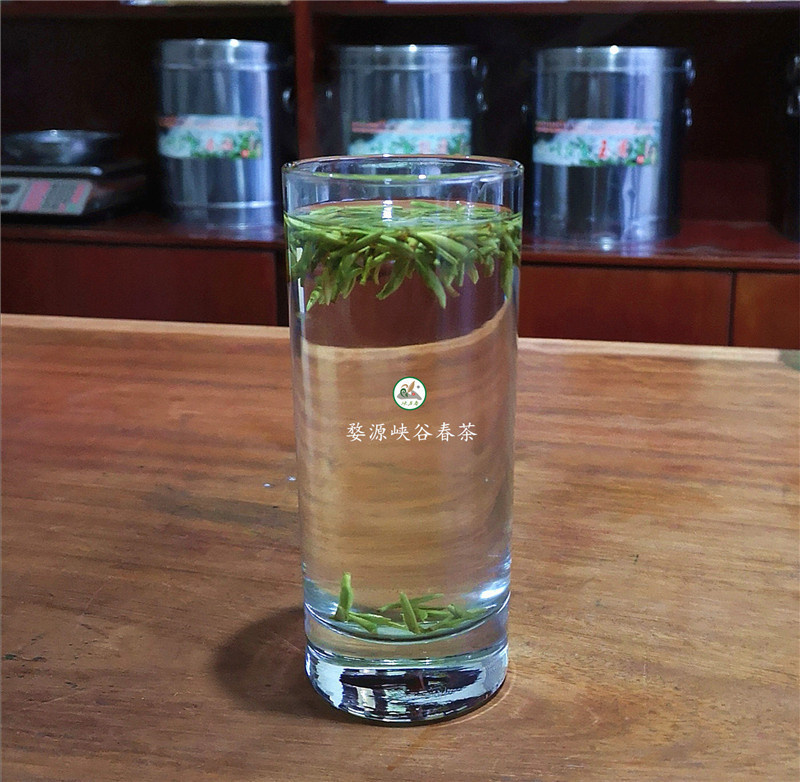 健康長壽,多喝茶