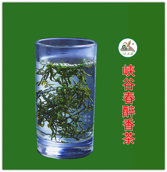 茶;只要味正甘醇,久而彌香就是好茶