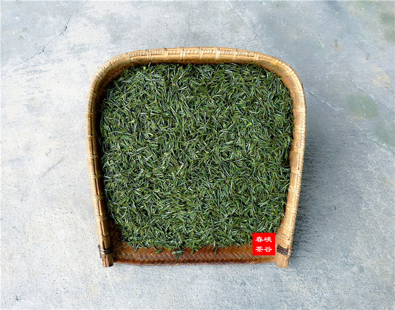 品到深處才懂茶 品到深處才懂茶