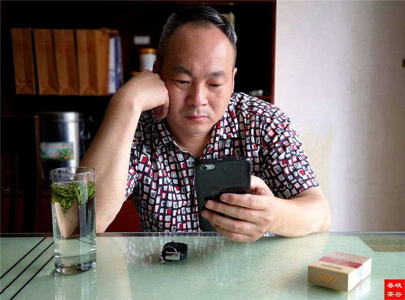 品到深處才懂茶 品到深處才懂茶