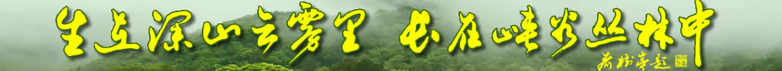 {ȴ
