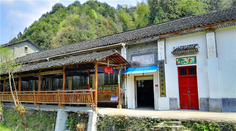 一杯峽谷春 久久潤(rùn)心田 一杯峽谷春 久久潤(rùn)心田