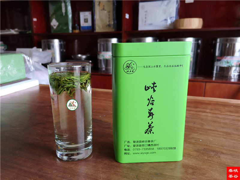 喝茶讓你頭腦更加清新靈活 喝茶讓你頭腦更加清新靈活